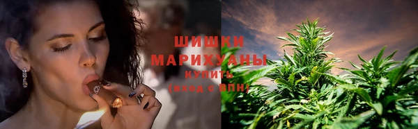 spice Богородск