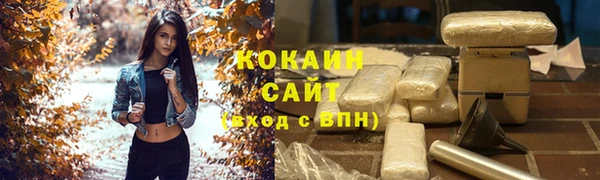 spice Богородск