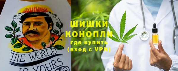 spice Богородск